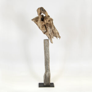 Condor - Image 2