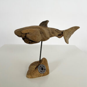 Shark