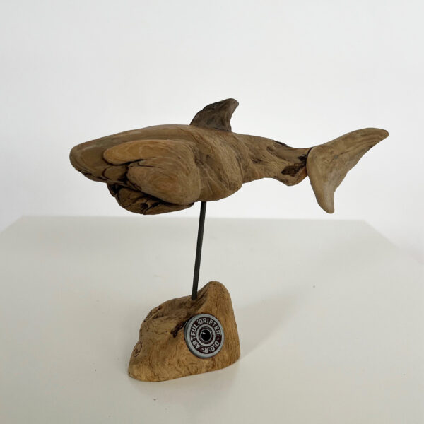 Shark