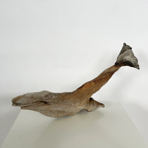 Whale #3